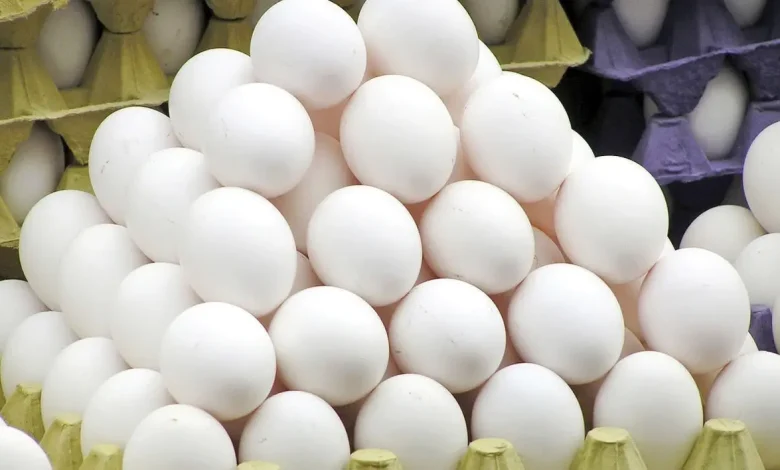 تخم مرغ به محصولی لاکچری تبدیل شد + قیمت