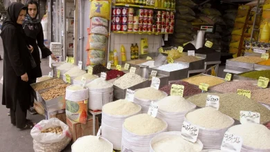 قیمت برنج بعد از حذف ارز ترجیحی / وضعیت دقیقا چطور می‌شود؟