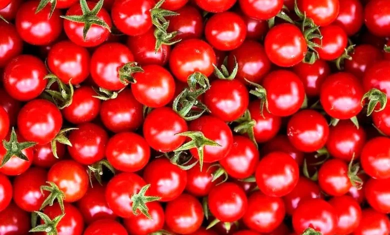 محصول پرمصرف مردم ارزان شد