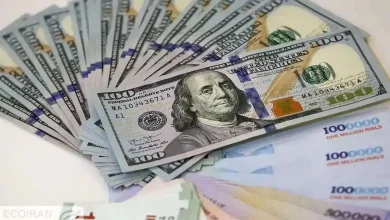 ۱۵ نفر ۶ میلیارد دلار را ناپدید کردند