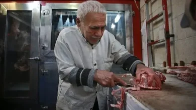 فروش گوشت وارداتی زیر قیمت بازار شروع شد + محل عرضه