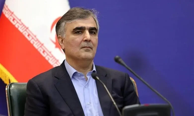 فوری/ فرزین دستیار اقتصادی پزشکیان شد